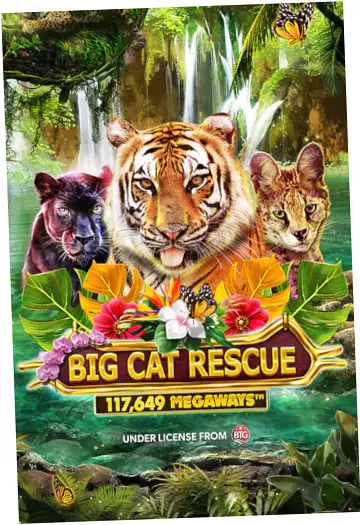 Big Cat Rescue Megaways